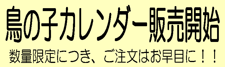 鳥の子カレンダー | 長谷川紙店NET