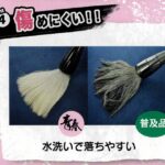 パフォーマンス墨液『青春』【発売記念特別価格】